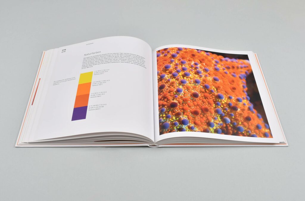 Sagross Design Office